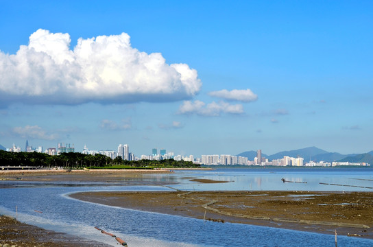 深圳湾