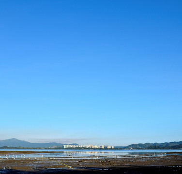 都市远眺