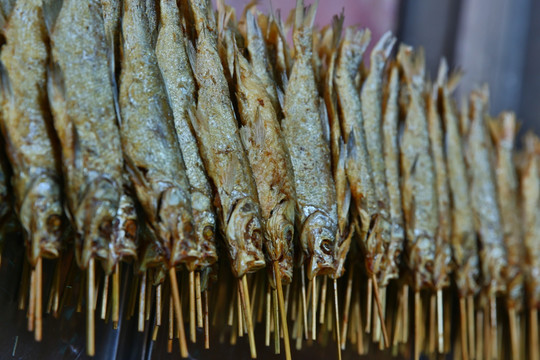 金鞭溪烤鱼