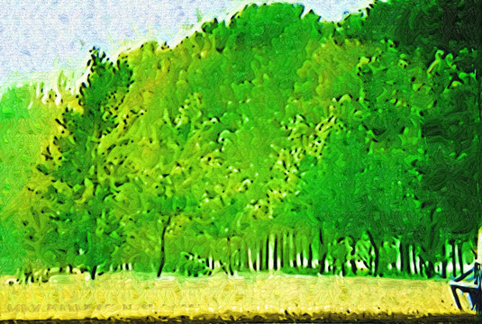 树林风景画