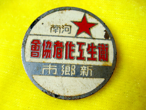 河南卫生工作者协会纪念章 胸章