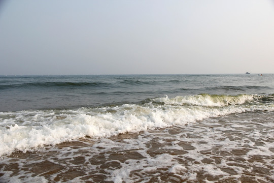 大海