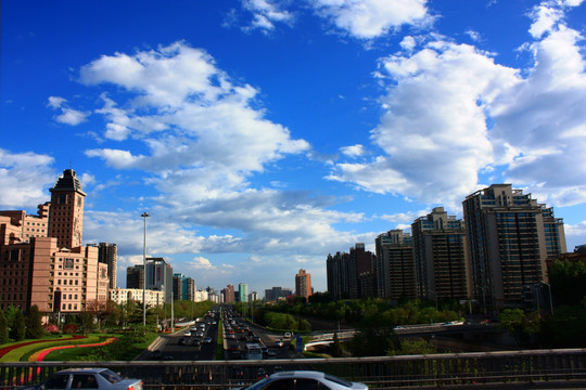 城市