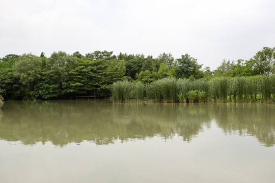 杭州西溪湿地