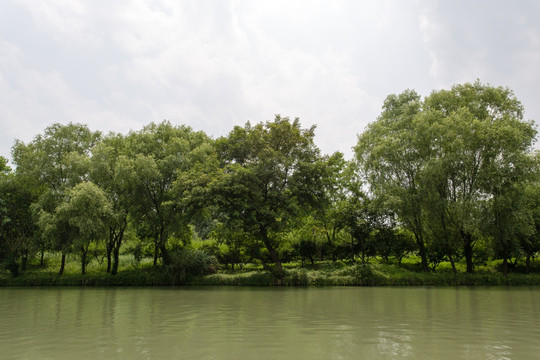 杭州西溪湿地公园