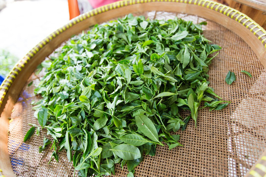 龙井茶