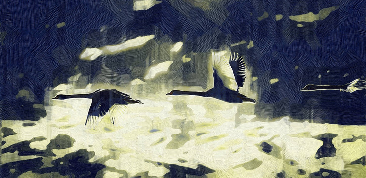 装饰画  油画飞翔的天鹅