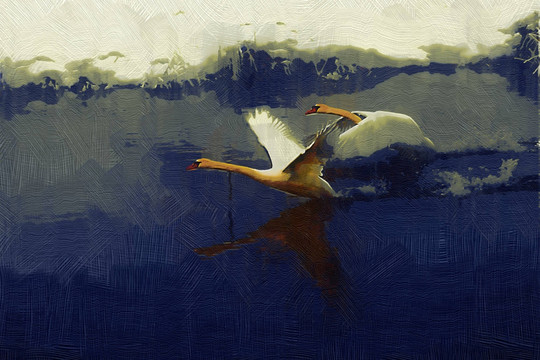装饰画  油画飞翔的天鹅