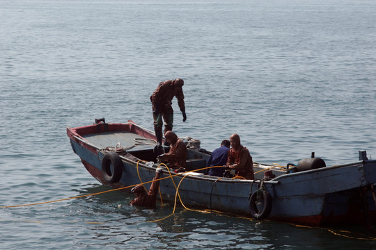 渔船 渔民 捕捞 养殖 作业