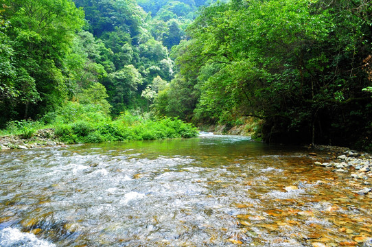 贵州风景