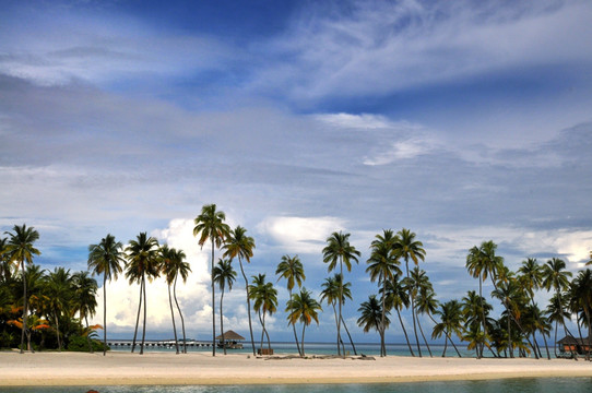 马尔代夫沙滩和棕榈树
