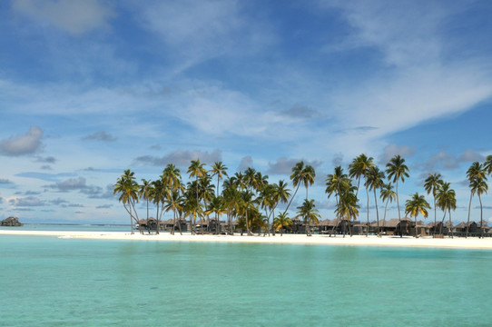 马尔代夫棕榈树和水上屋