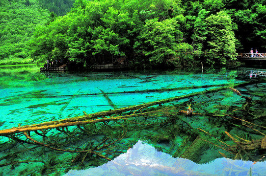 贵州风景