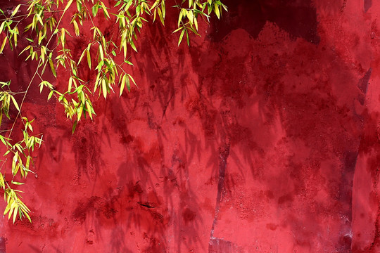 竹影红墙