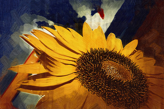 抽象画 装饰画向日葵