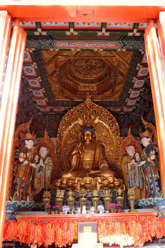 香山公园碧云寺佛像