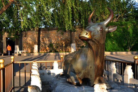 颐和园的铜牛