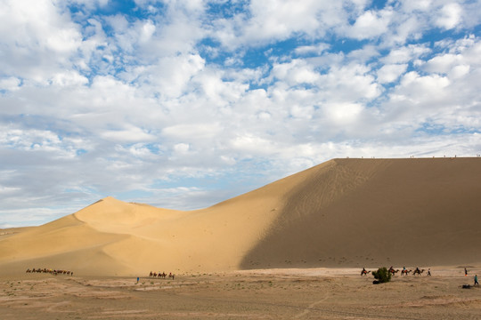甘肃敦煌沙漠中的骆驼队