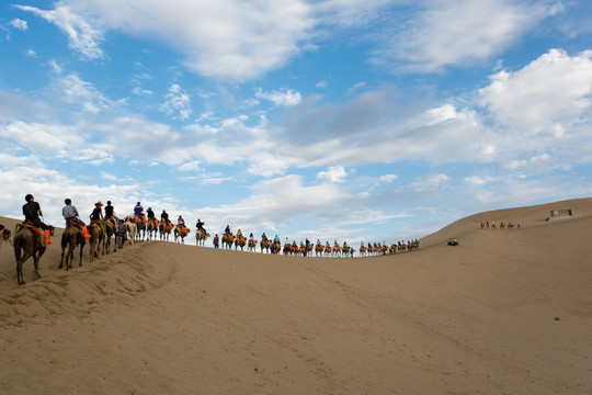 沙漠里的骆驼队