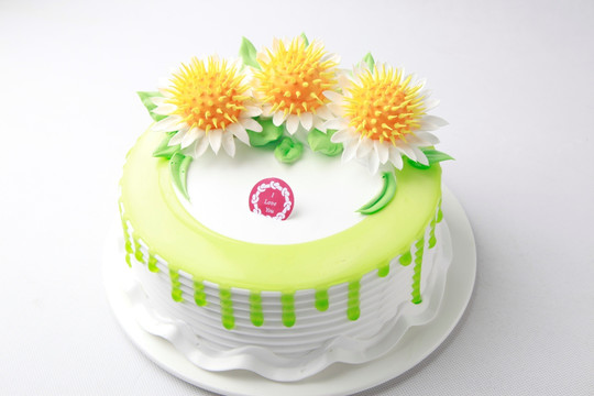 生日蛋糕不老菊