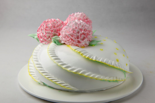 生日蛋糕康乃馨