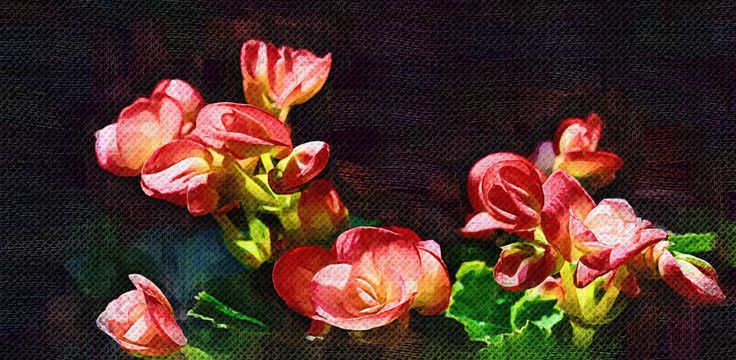 油画 海棠花