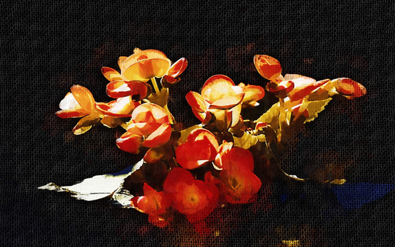 油画 海棠花