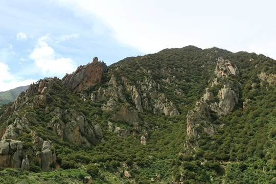 西藏风光 茶马古道