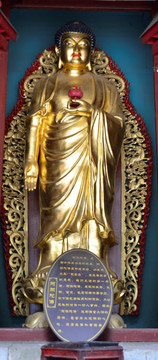阿弥陀佛菩萨铜像