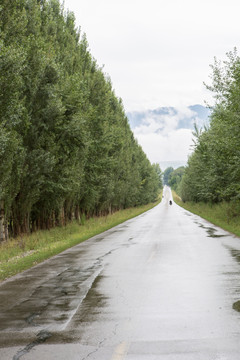 雨中小路