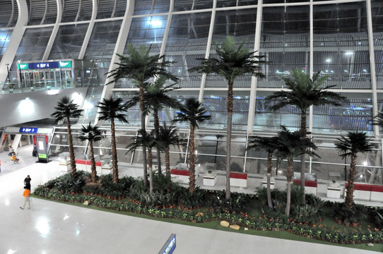 机场内饰 热带植物