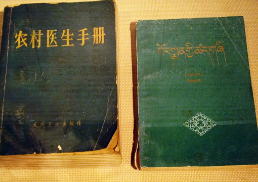 农村医生手册
