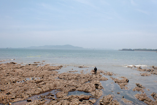 青岛汇泉湾礁石