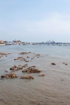 青岛青岛湾