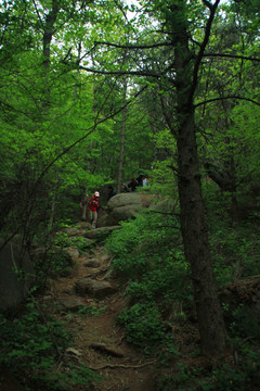 登山