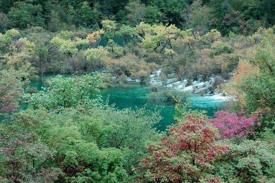 盆景滩