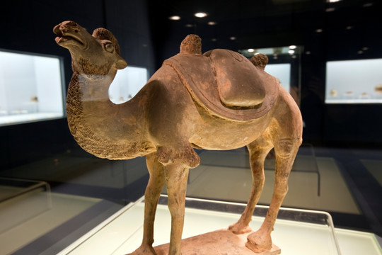 古代陶瓷 骆驼
