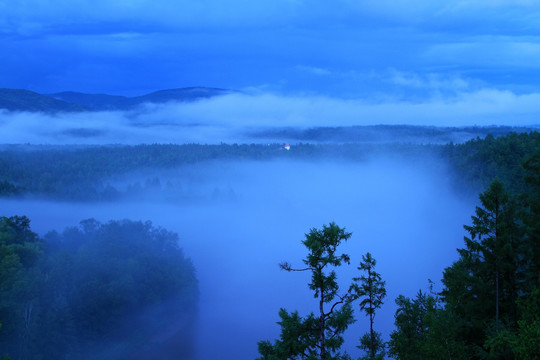 原始森林夜雾升腾