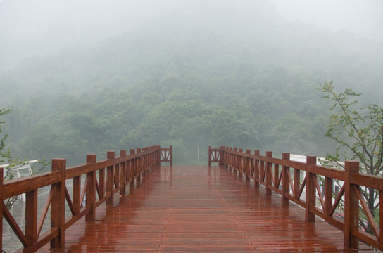 雨中木桥