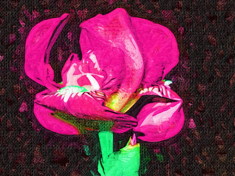 花卉装饰画 一支花