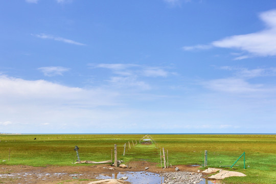 青海湖草原