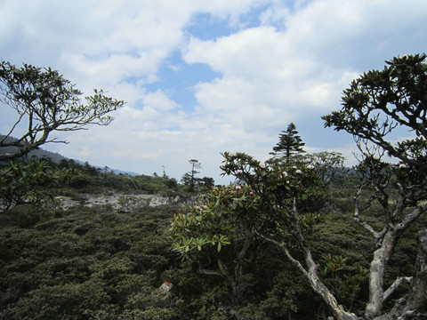 丽江老君山