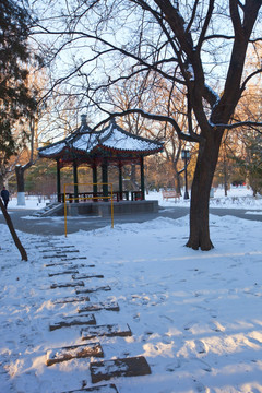 北京地坛