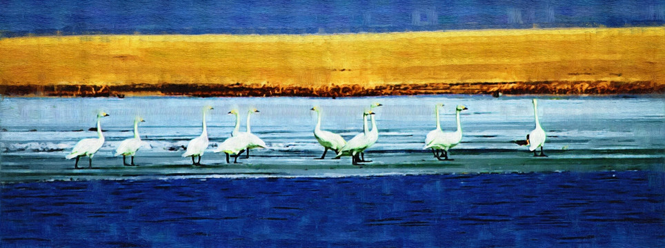 天鹅湖 电脑油画
