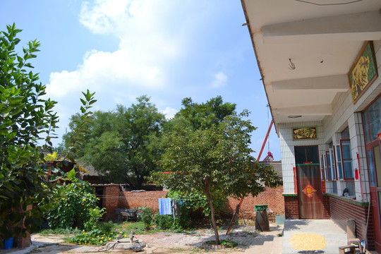 农家小院
