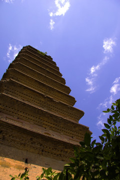 西安香积寺善导塔