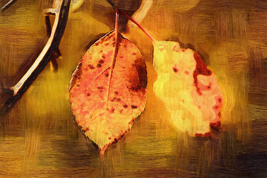 秋叶 电脑油画