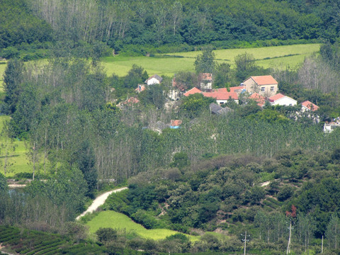 鸟瞰滁州施集茶乡山村