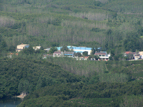 鸟瞰滁州施集茶厂