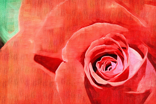 装饰画 无框画 花卉 玫瑰